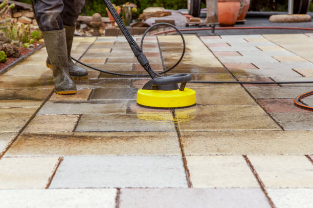 Best Roof Cleaning and Mildew Removal in Garden City, NY